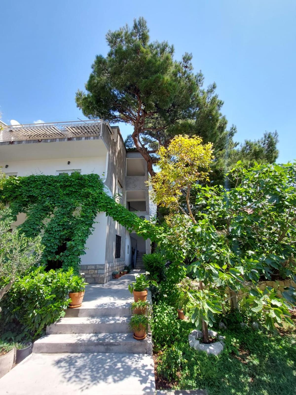 17 Pines Makarska Exterior foto