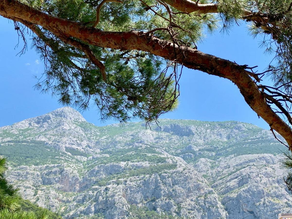 17 Pines Makarska Exterior foto